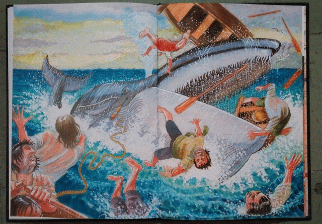 20160203_131621-1-copia